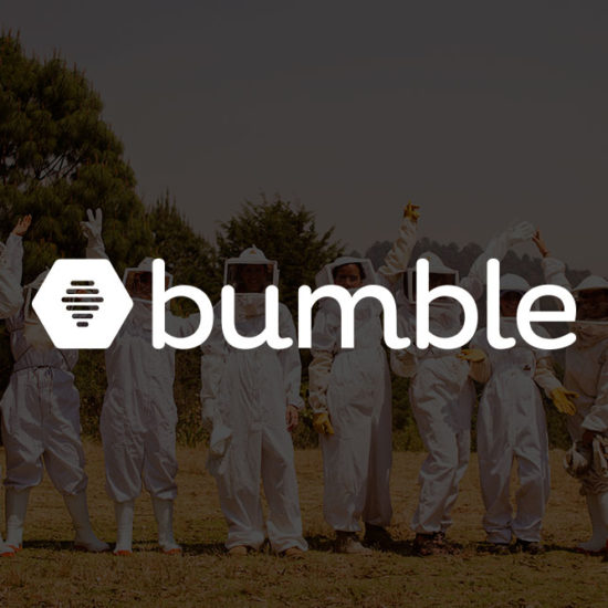 bumble-aliado-de-efecto-colmena-550x550