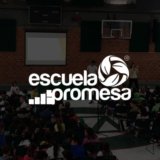 escuela-promesa-aliado-de-efecto-colmena-550x550